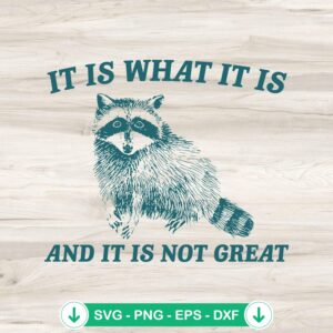 mockup-207239.jpg Raccoon Meme It Is What It Is SVG file for cutting machine